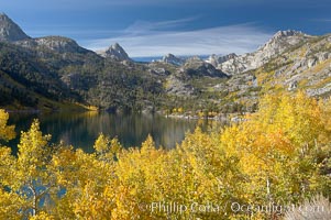 Aspen trees display Eastern Sierra fall colors, Lake Sabrina, Bishop Creek Canyon, Populus tremuloides, Bishop Creek Canyon, Sierra Nevada Mountains