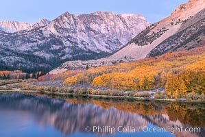 Sierra Nevada fall colors in soft predawn light, North Lake, Bishop Creek Canyon, Populus tremuloides, Bishop Creek Canyon, Sierra Nevada Mountains
