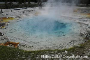 Silex Spring, Fountain Paint Pot area of Lower Geyser Basin, Yellowstone National Park, Wyoming