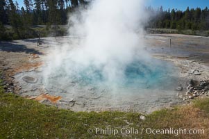 Silex Spring gets its name from the silica which is prevalent in the surrounding volcanic rocks and which is dissolved by the superheated water of Silex Spring.  Silex is latin for silica.  Lower Geyser Basin, Yellowstone National Park, Wyoming