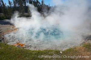 Silex Spring gets its name from the silica which is prevalent in the surrounding volcanic rocks and which is dissolved by the superheated water of Silex Spring.  Silex is latin for silica.  Lower Geyser Basin, Yellowstone National Park, Wyoming