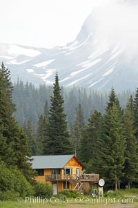 Silver Salmon Creek Lodge, spruce trees and Chigmit Range.