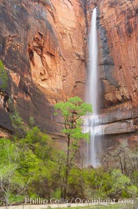 Waterfall at Temple of Sinawava during peak flow following spring rainstorm.  Zion Canyon, Zion National Park, Utah