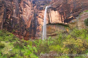 Ephemeral waterfall in Zion Canyon above Weeping Rock.  These falls last only a few hours following rain burst.  Zion Canyon, Zion National Park, Utah