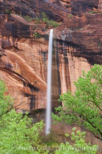 Ephemeral waterfall in Zion Canyon above Weeping Rock.  These falls last only a few hours following rain burst.  Zion Canyon, Zion National Park, Utah