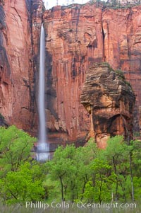 Waterfall at Temple of Sinawava during peak flow following spring rainstorm.  Zion Canyon, Zion National Park, Utah