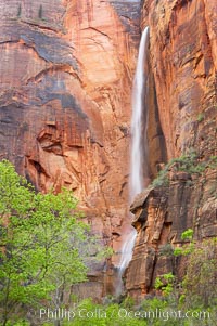 Waterfall at Temple of Sinawava during peak flow following spring rainstorm.  Zion Canyon, Zion National Park, Utah