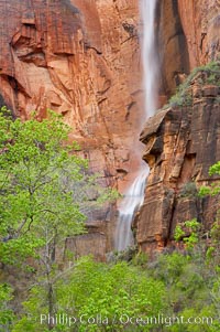 Waterfall at Temple of Sinawava during peak flow following spring rainstorm.  Zion Canyon, Zion National Park, Utah