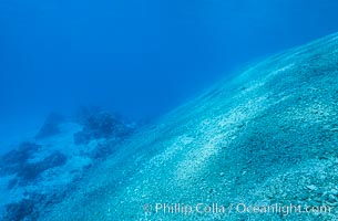 Slope from Reef to Lagoon, Rose Atoll, Rose Atoll National Wildlife Refuge