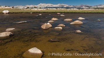 Small alpine tarn pond, in grassy meadow near Lake Evelyn, in Yosemite's beautiful high country, late summer, Yosemite National Park, California