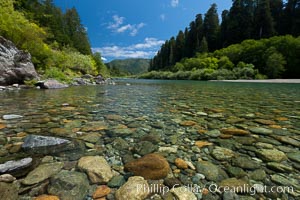 Smith River, the last major free flowing river in California.  Trees include the coast redwood, western hemlock, Sitka spruce, grand fir and Douglas fir, Jedediah Smith State Park