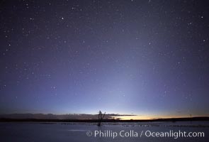 Stars appear in the dark predawn sky.  Stars appear in pre-dawn light at the main impoundment pond, Bosque del Apache National Wildlife Refuge.  A group of snow geese can be seen resting on the water, Chen caerulescens, Socorro, New Mexico