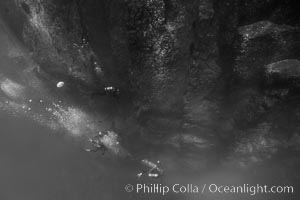 Socorro Island Underwater, Mexico, Socorro Island (Islas Revillagigedos)