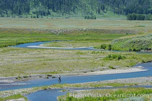 Fly fishermen fish along Soda Butte Creek near the Lamar Valley, Yellowstone National Park, Wyoming