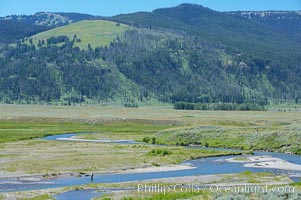 Flyfishermen fish along Soda Butte Creek near the Lamar Valley, Yellowstone National Park, Wyoming