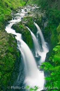 Sol Duc Falls.  Sol Duc Falls is one of the largest and most beautiful waterfalls in Olympic National Park, seen here from a bridge that crosses the canyon just below the falls. Surrounding the falls is an old-growth forest of hemlocks and douglas firs, some of which are three hundred years in age.