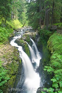 Sol Duc Falls.  Sol Duc Falls is one of the largest and most beautiful waterfalls in Olympic National Park, seen here from a bridge that crosses the canyon just below the falls. Surrounding the falls is an old-growth forest of hemlocks and douglas firs, some of which are three hundred years in age, Sol Duc Springs