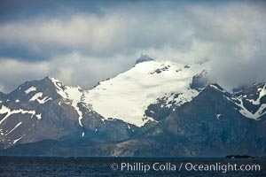 South Georgia Island coastline, showing the island's characteristic rugged topography.  56% of the island is covered by 161 glaciers, which have created numerous large bays and inlets that provide excellent habitat for marine animals and seabirds. Mountains meet the sea in steep-sided seacliffs covered with sparse vegetation.  The highest point on South Georgia Island is Mt. Paget at 2,915m