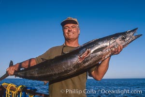 Spearfisherman and wahoo (ono), Guadalupe Island (Isla Guadalupe)