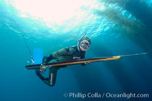 A freediving spearfisherman glides quietly through the kelp forest in search of game fish to hunt.  The most skilled spearfishermen forego the use of SCUBA, which is noisy underwater and scares away fish.  Instead, they practice breathhold techniques to move silently through the water.  San Clemente Island