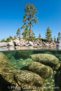 Image 32334, Split view of Trees and Underwater Boulders, Lake Tahoe, Nevada. USA, Phillip Colla, all rights reserved worldwide. Keywords: california, lake, lake tahoe, nevada, sierra nevada, tahoe, underwater.