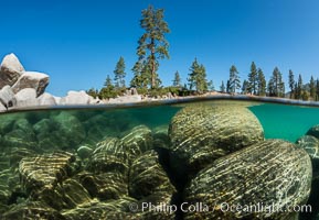 Split view of Trees and Underwater Boulders, Lake Tahoe, Nevada