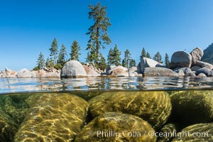 Split view of Trees and Underwater Boulders, Lake Tahoe, Nevada