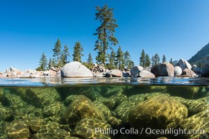 Split view of Trees and Underwater Boulders, Lake Tahoe, Nevada