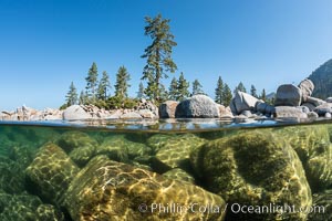 Split view of Trees and Underwater Boulders, Lake Tahoe, Nevada