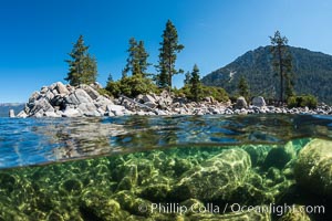 Split view of Trees and Underwater Boulders, Lake Tahoe, Nevada