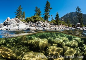 Split view of Trees and Underwater Boulders, Lake Tahoe, Nevada. USA, natural history stock photograph, photo id 32355