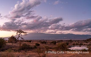 Stars and Clouds Over Mount Kilimanjaro, Before Dawn, Viewed from Tortilis Camp, Amboseli National Park