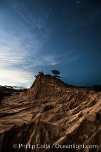 Stars at Night over Broken Hill, Torrey Pines State Reserve, San Diego, California