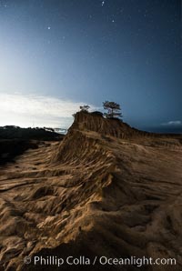 Stars at Night over Broken Hill, Torrey Pines State Reserve. San Diego, California, USA, natural history stock photograph, photo id 29415