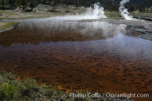 Steam rises from Firehole Lake.  The lakes red bottom is due to thermophilac cyanobacteria and algae. Lower Geyser Basin, Yellowstone National Park, Wyoming