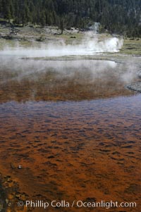 Steam rises from Firehole Lake.  The lakes red bottom is due to thermophilac cyanobacteria and algae. Lower Geyser Basin, Yellowstone National Park, Wyoming