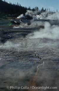 Steam rises from the many geysers, springs and pools on Geyser Hill near Old Faithful, just after sunrise, Yellowstone National Park, Wyoming