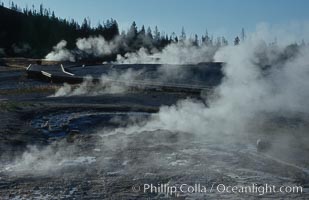 Steam rises from the many geysers, springs and pools on Geyser Hill near Old Faithful, just after sunrise, Yellowstone National Park, Wyoming