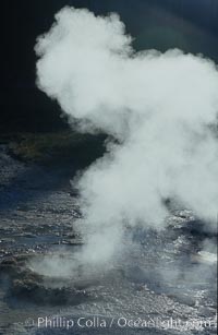 Steam rises a geyser on Geyser Hill, Upper Geyser Basin, Yellowstone National Park, Wyoming