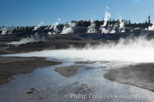 Steam rises in the Porcelain Basin, Norris Geyser Basin, Yellowstone National Park, Wyoming