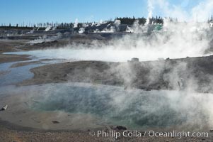 Steam rises in the Porcelain Basin, Norris Geyser Basin, Yellowstone National Park, Wyoming