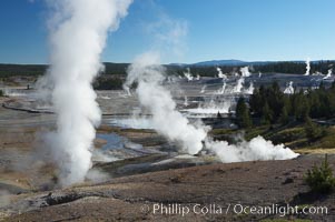 Steam rises in the Porcelain Basin, Norris Geyser Basin, Yellowstone National Park, Wyoming
