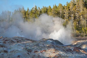 Steamboat Geyser splashes (this is not an eruption!).  Steamboat Geyser is the worlds tallest active geyser, reaching heights of 300 feet, but it rarely erupts and then only unpredictably, Norris Geyser Basin, Yellowstone National Park, Wyoming