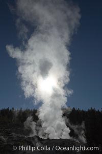 Steamboat Geyser steams (this is not an eruption!).  Steamboat Geyser is the worlds tallest active geyser, reaching heights of 300 feet, but it rarely erupts and then only unpredictably, Norris Geyser Basin, Yellowstone National Park, Wyoming