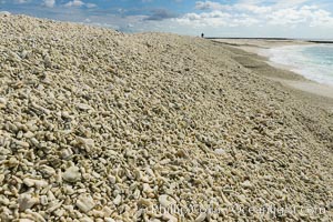 Steep Coral Rubble Shoreline, Clipperton Island