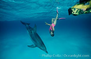 Atlantic spotted dolphin, Stenella frontalis, Olympic swimmer Mikako Kotani, underwater videographer Tom Fitz. Bahamas.