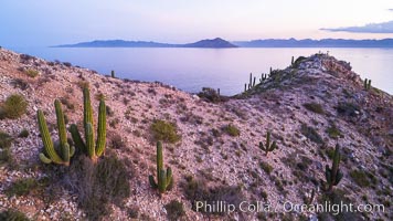 Summit Ridge of Isla San Diego, Aerial View, Sea of Cortez