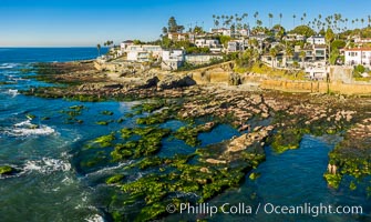 Sun Gold Point Reef Exposed at Extreme Low Tide, La Jolla, California