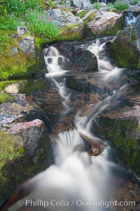 Waterfall, Sunbeam Creek, Mount Rainier National Park, Washington