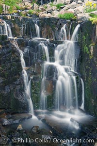 Waterfall, Sunbeam Creek, Mount Rainier National Park, Washington
